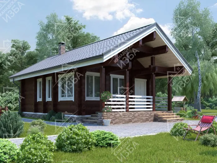 баня Амур1 проект